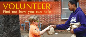 Be a Volunteer